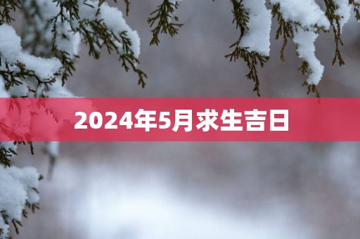 2025年5月求生吉日