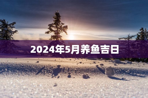 2025年5月养鱼吉日