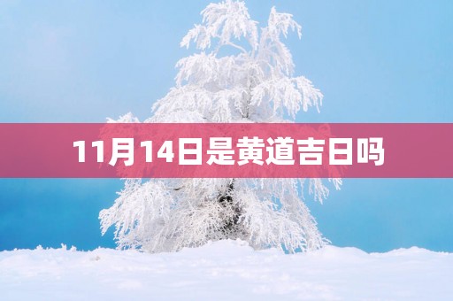 11月14日是黄道吉日吗