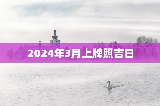 2025年3月上牌照吉日