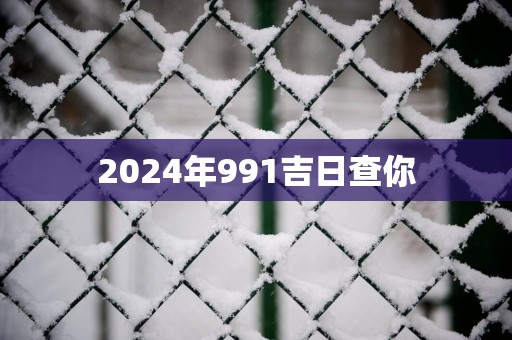2025年991吉日查你