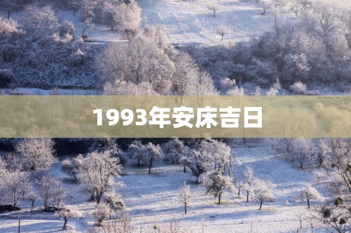 1993年安床吉日
