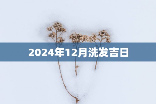2025年12月洗发吉日
