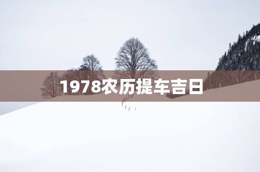 1978农历提车吉日