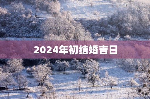 2025年初结婚吉日