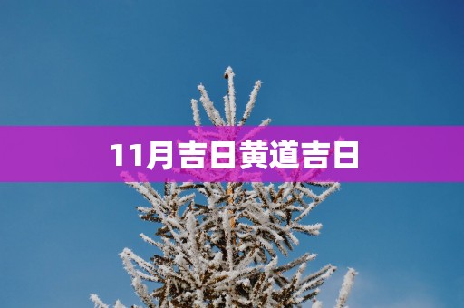 11月吉日黄道吉日