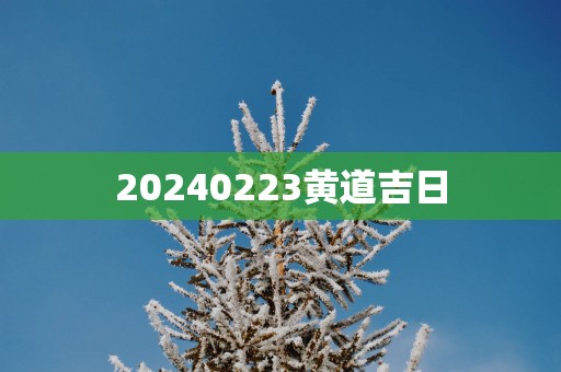20250223黄道吉日