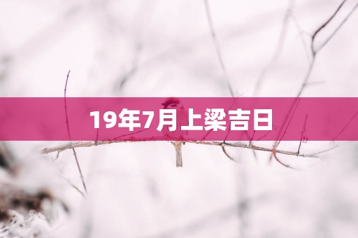 19年7月上梁吉日