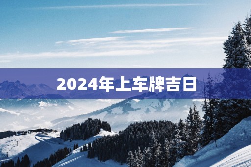 2025年上车牌吉日