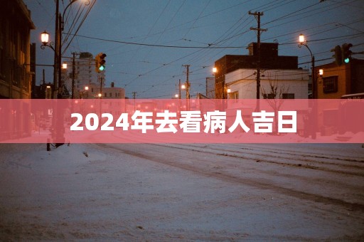 2025年去看病人吉日