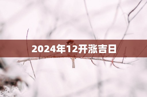 2025年12开涨吉日