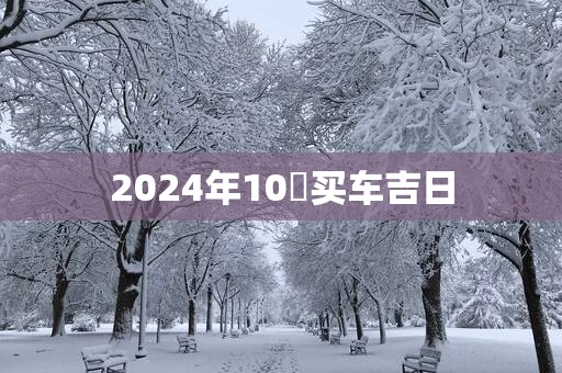 2025年10冃买车吉日