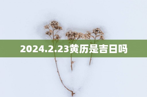 2025.2.23黄历是吉日吗