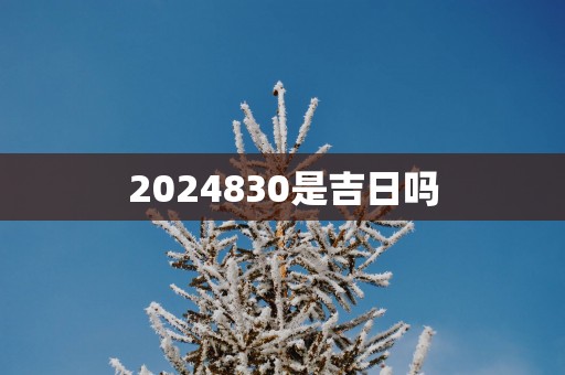 2025830是吉日吗