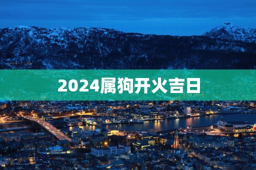 2025属狗开火吉日