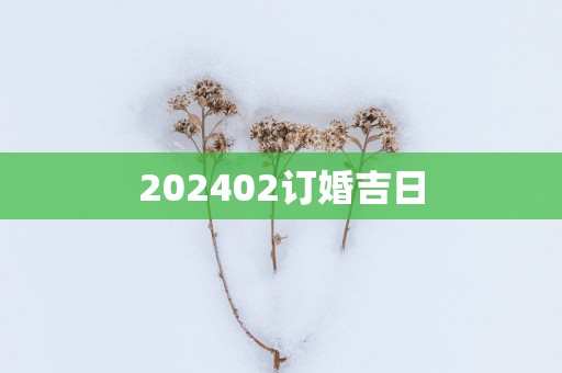 202502订婚吉日
