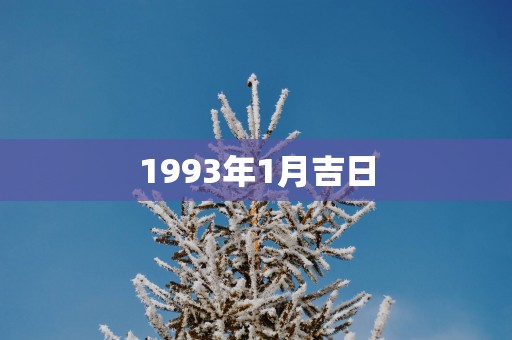 1993年1月吉日