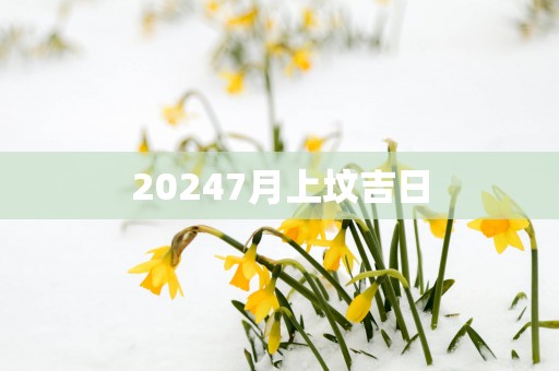 20257月上坟吉日