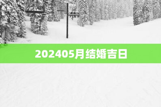 202505月结婚吉日
