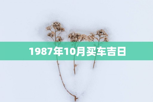 1987年10月买车吉日