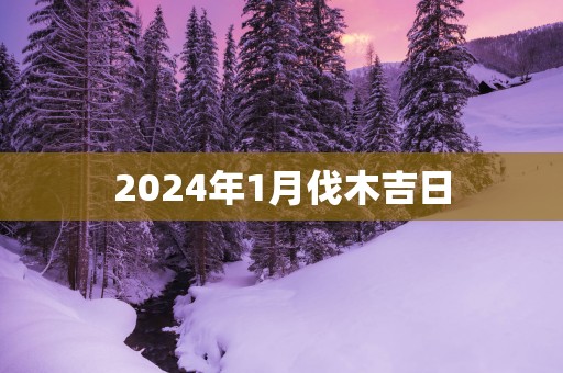 2025年1月伐木吉日