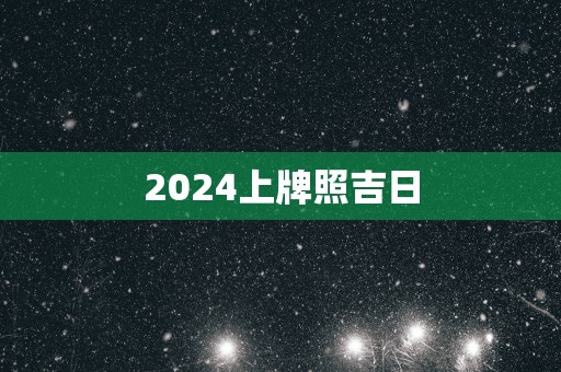2025上牌照吉日