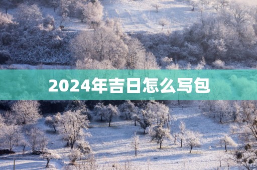 2025年吉日怎么写包