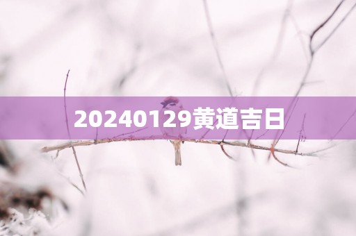 20250129黄道吉日