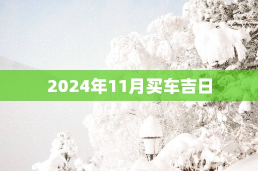 2025年11月买车吉日
