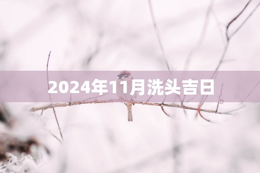 2025年11月洗头吉日