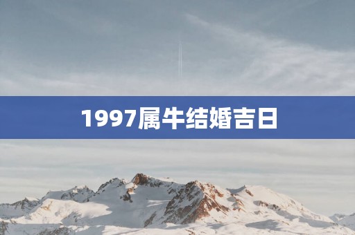 1997属牛结婚吉日