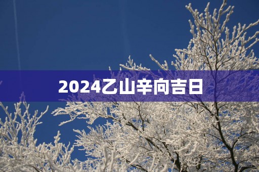 2025乙山辛向吉日