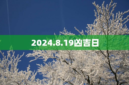 2025.8.19凶吉日