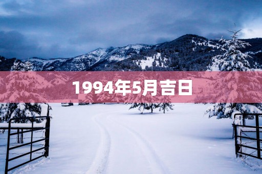 1994年5月吉日