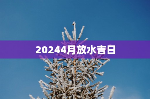 20254月放水吉日