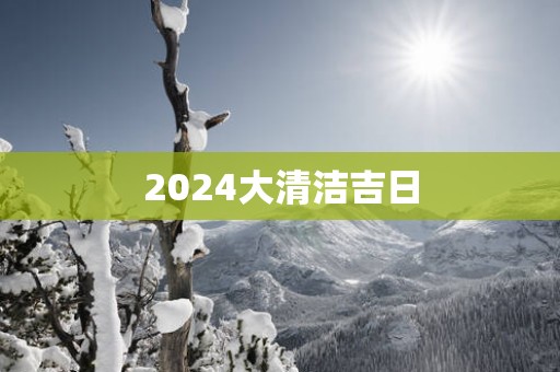 2025大清洁吉日