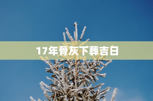 17年骨灰下葬吉日