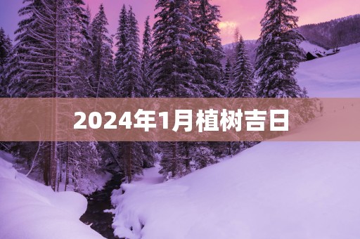2025年1月植树吉日