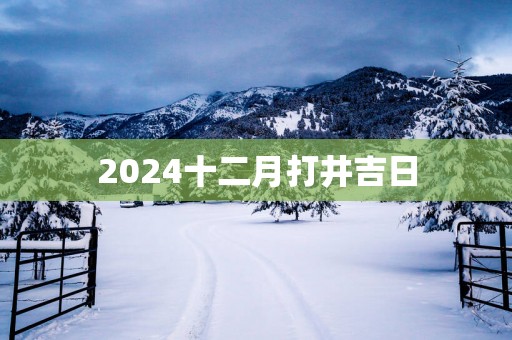 2025十二月打井吉日
