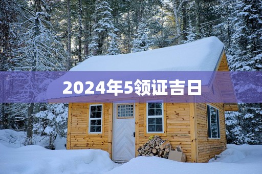 2025年5领证吉日
