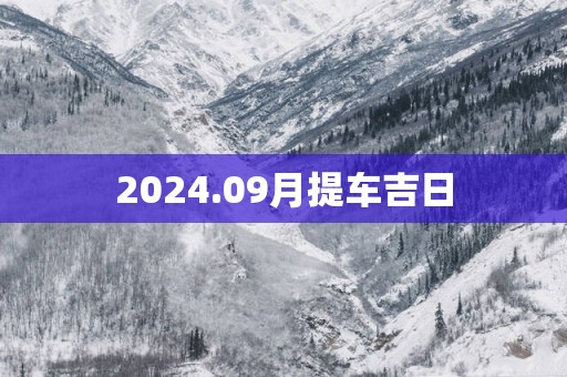 2025.09月提车吉日