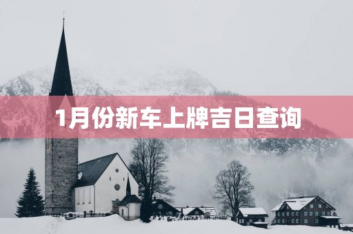 1月份新车上牌吉日查询