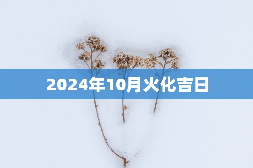 2025年10月火化吉日