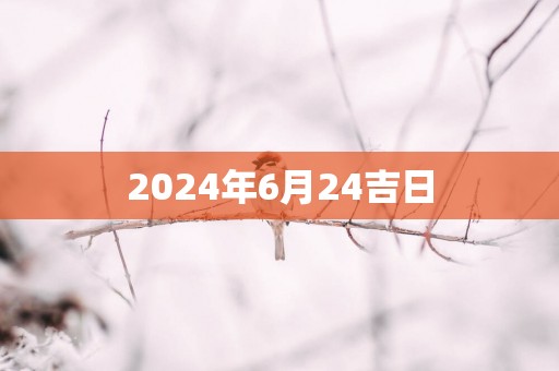 2025年6月24吉日