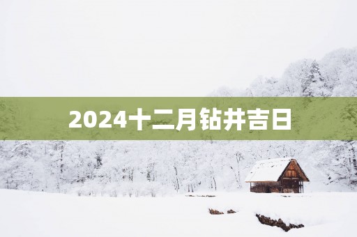 2025十二月钻井吉日