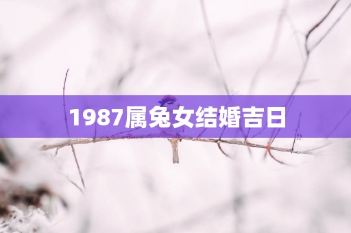 1987属兔女结婚吉日