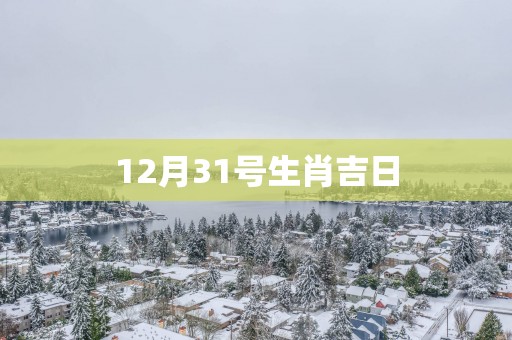 12月31号生肖吉日