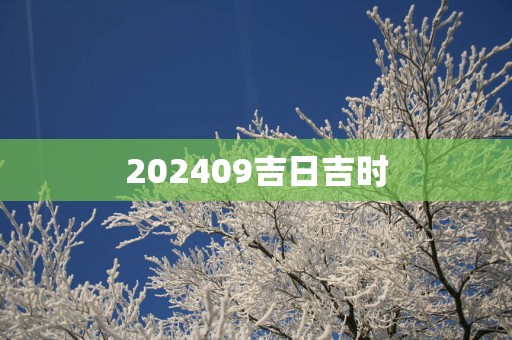 202509吉日吉时