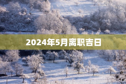 2025年5月离职吉日