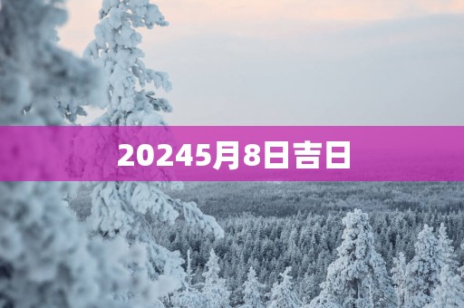 20255月8日吉日